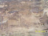 Petroglyphs at Gunnison River Rock Art site.