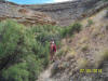 Jim and Bill with tamarisk in Lawhead Gulch