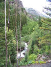 Looking down the creek from the Michael Breen Mine